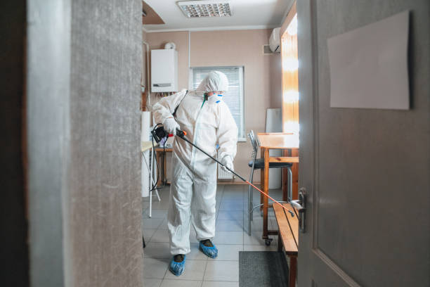 Professional Mold Removal in West Athens, CA